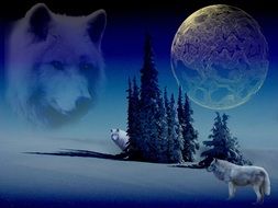 wolves in the snow near spruce trees under the moon on beautiful and colorful landscape