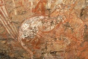 kangaroo, ancient painting on the rock in the kakadu national park, australia