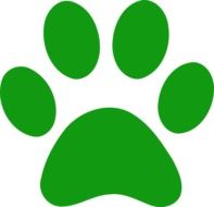 animal paw print green as an illustration