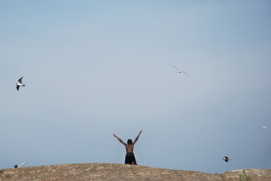 boy and birds in the sky