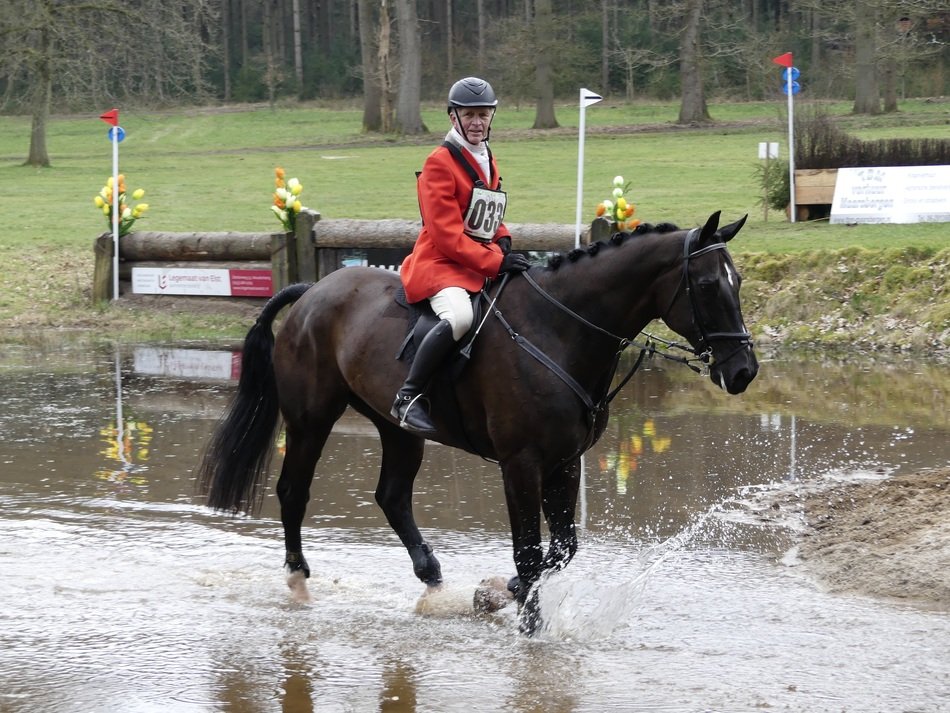 rider with horse in the paddle
