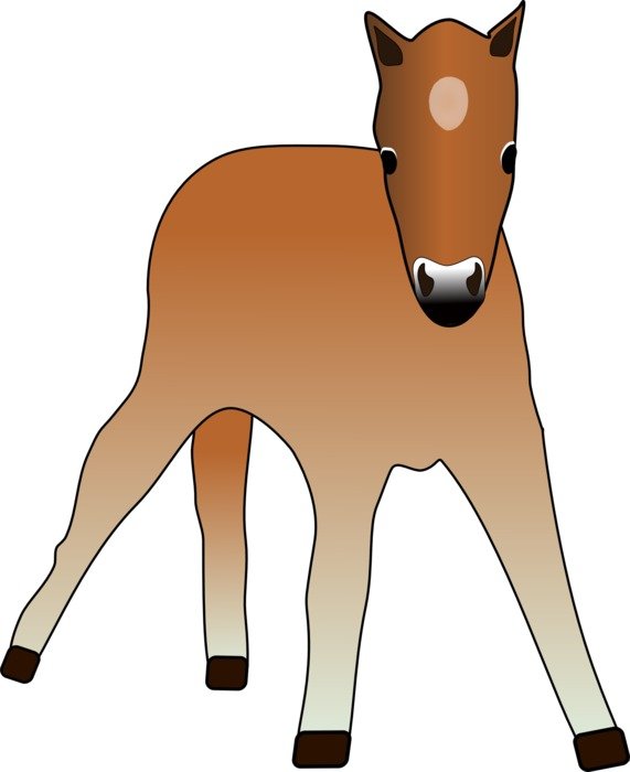 foal drawing on white background