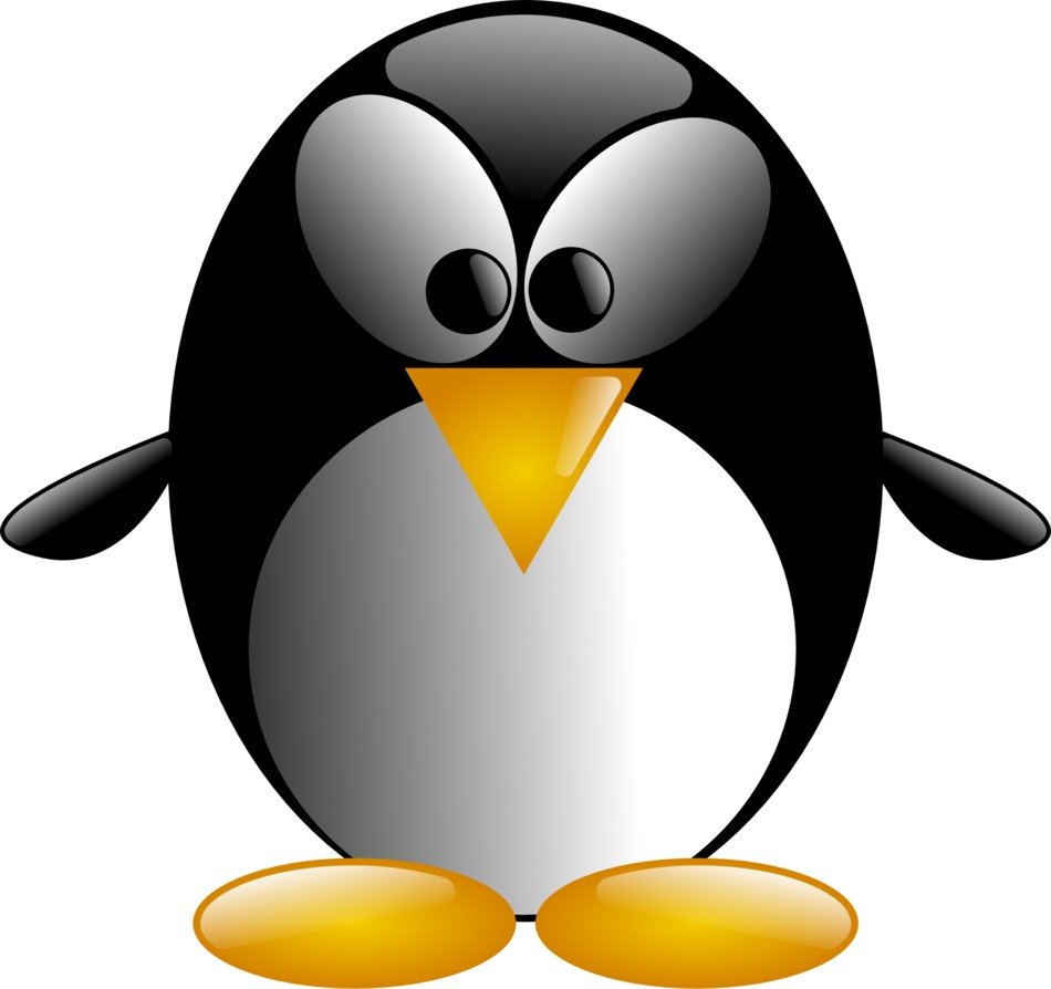 Picture of three-colored penguin