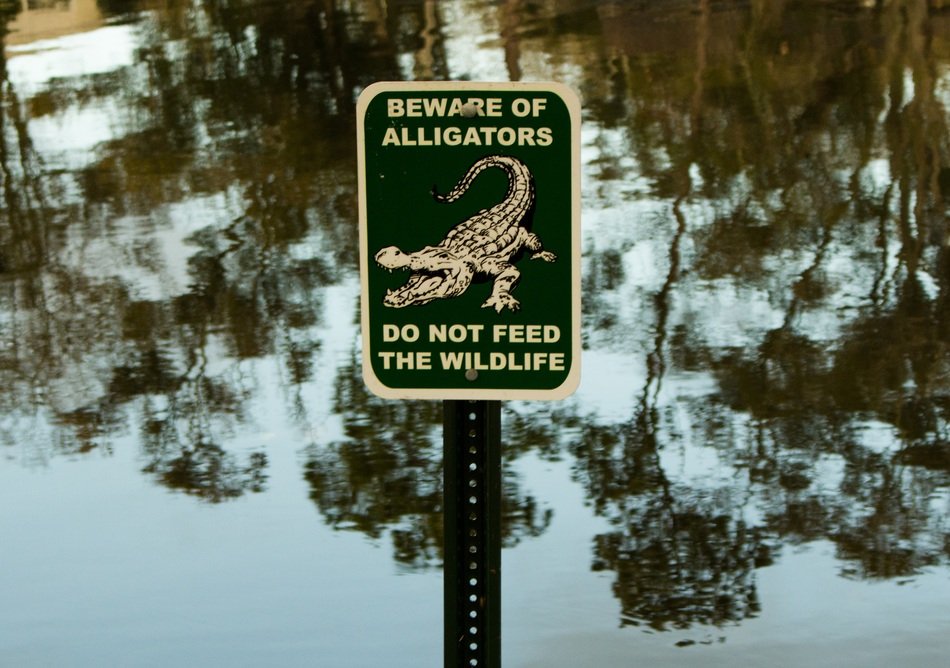 warning sign about finding crocodiles in the lake