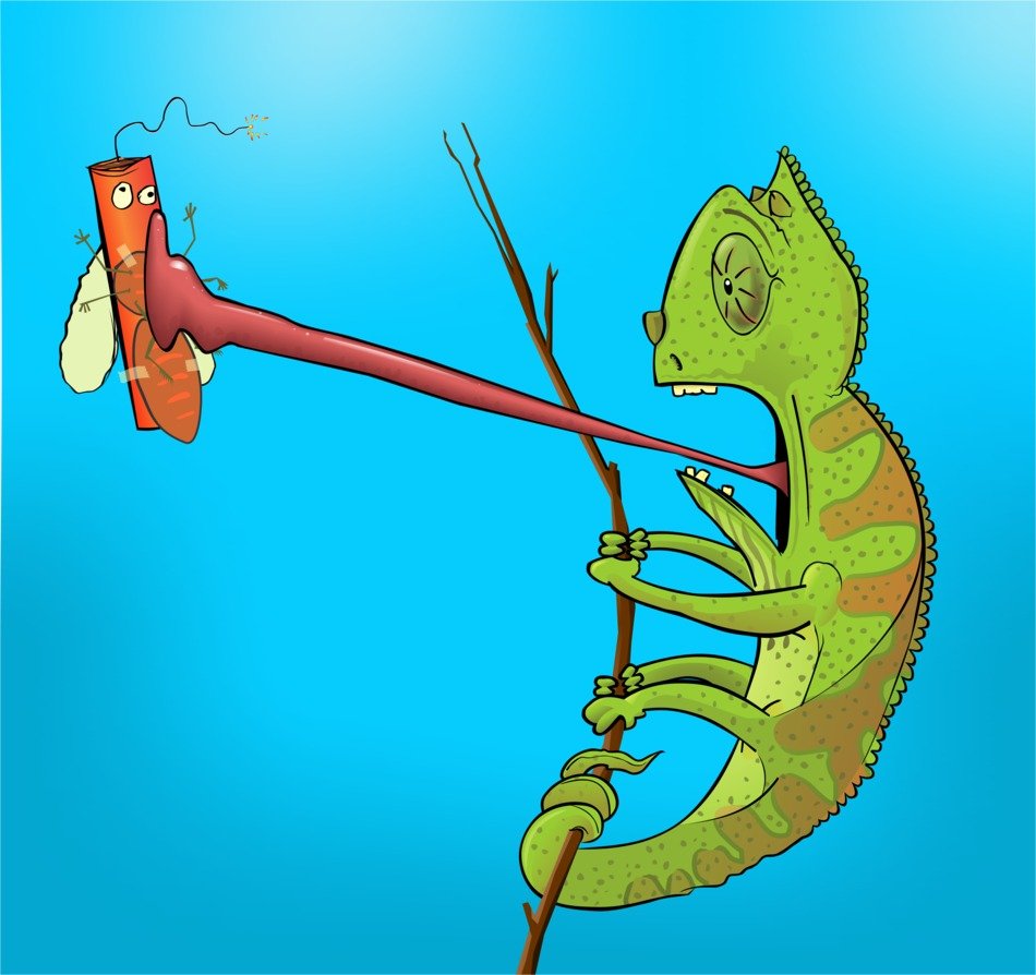 painted chameleon with a pitard in the mouth