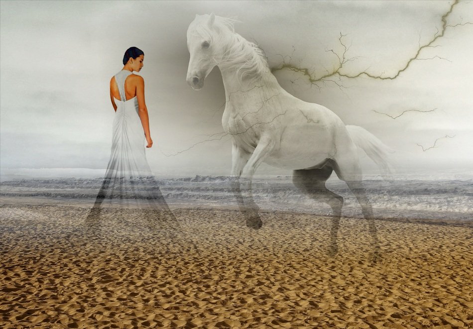 surreal plot of a bride with a horse