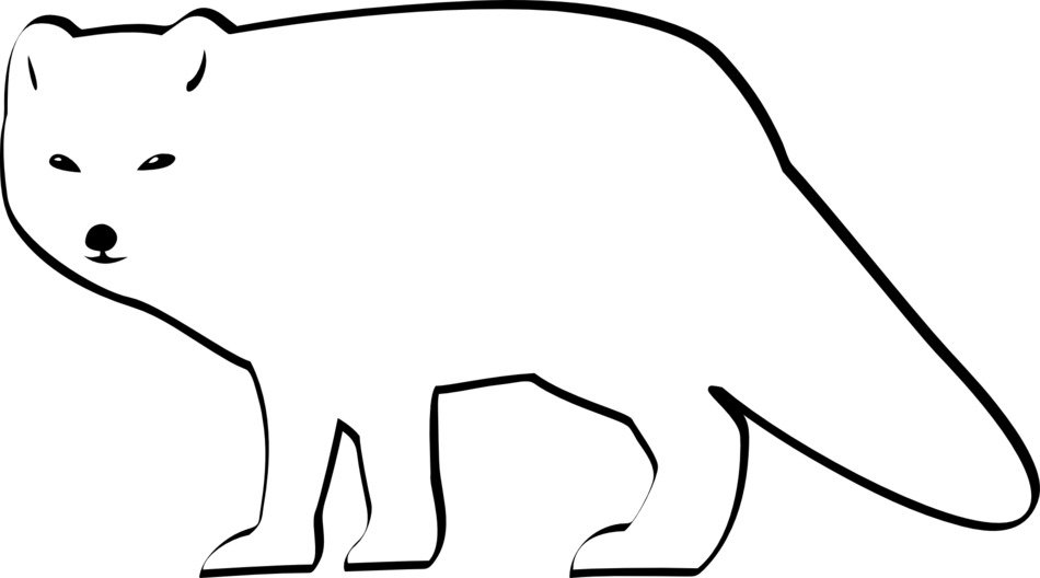 Black and white drawing of the silhouette of the polar predator