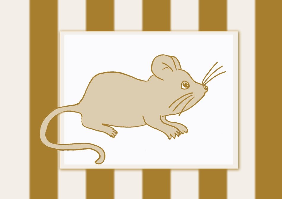 brown mouse on a white background
