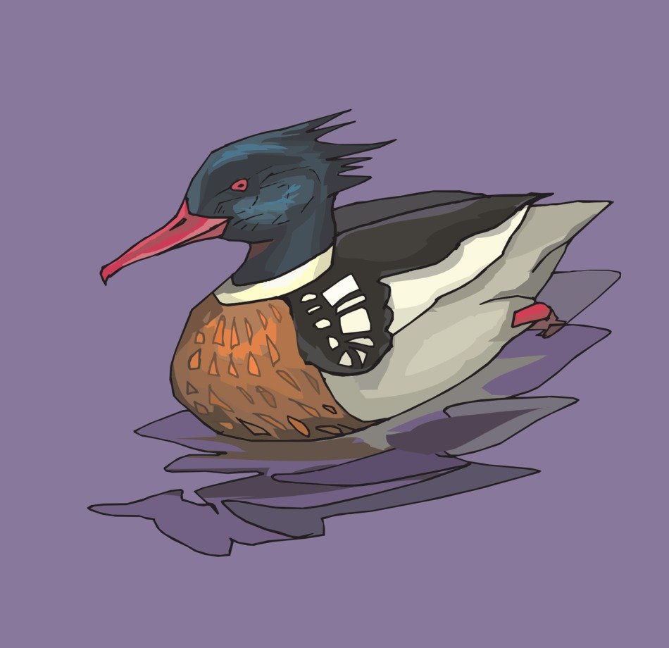 İllustration of the colorful duck at purple background
