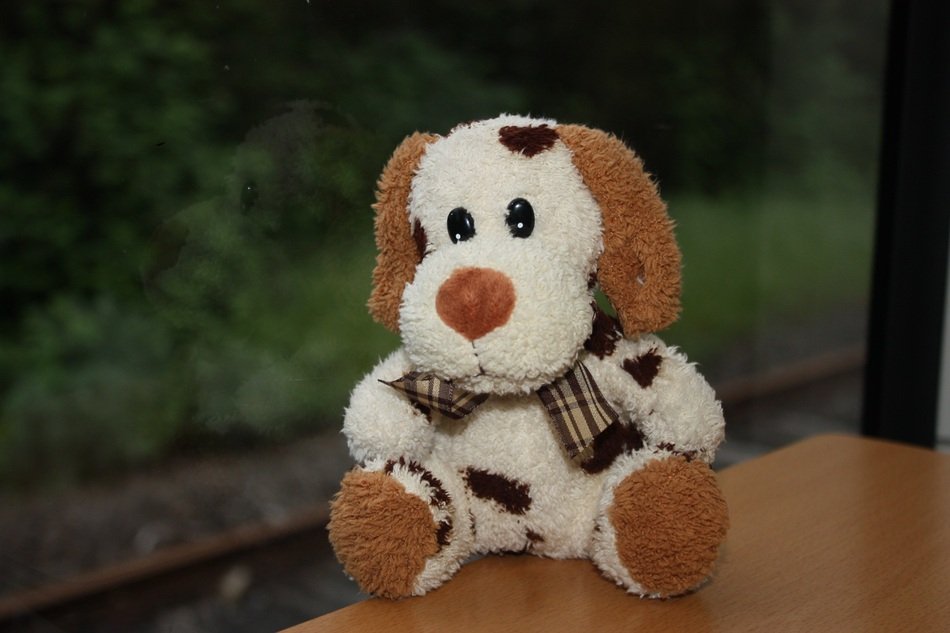 Dog StuffedChildren Toys