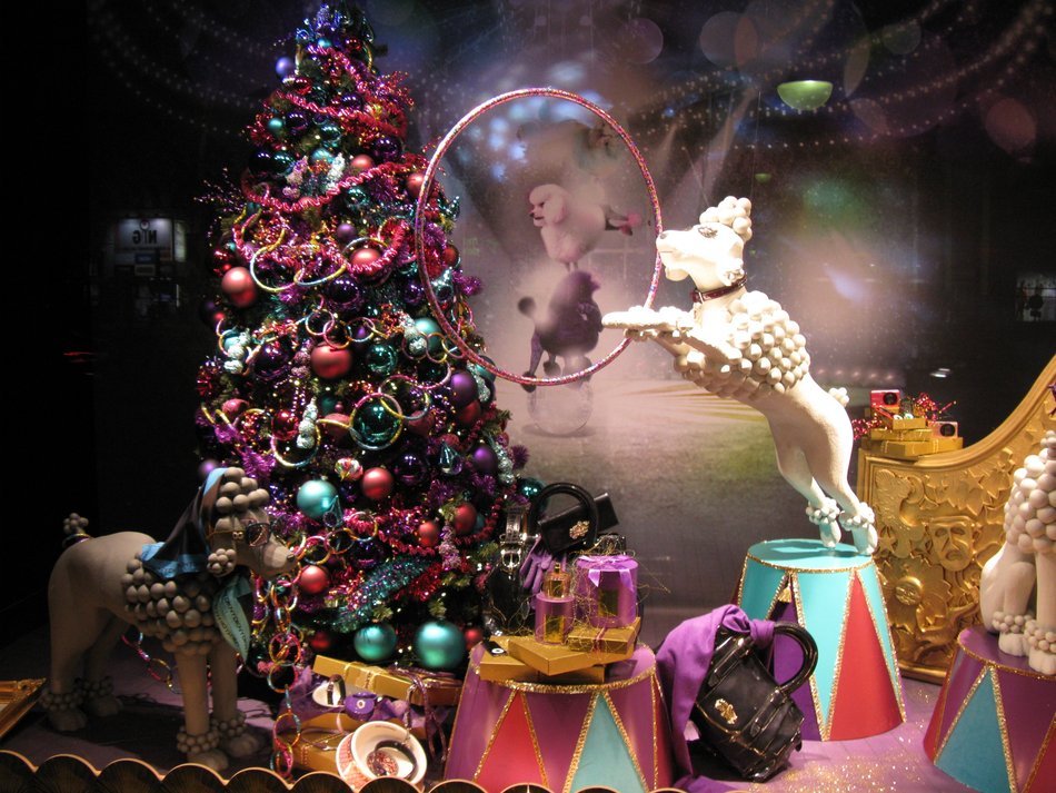 photos with christmas animals