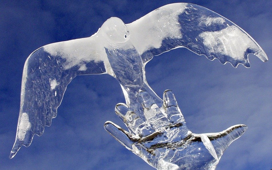 Beautiful statue with the pigeon in Canada