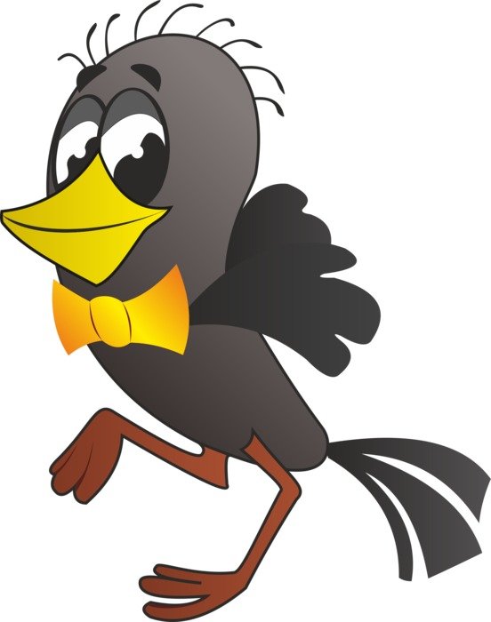 Buttermilk Jackdaw drawing