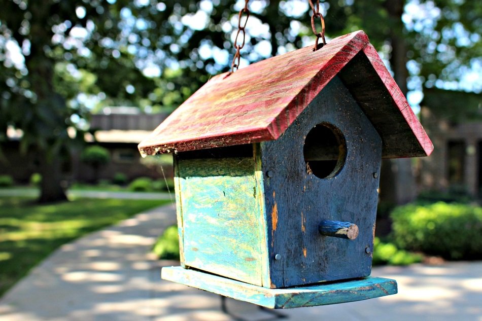 wooden birdhouse in the garden