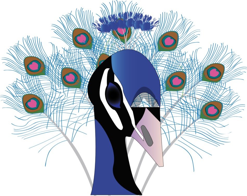painted blue peacock