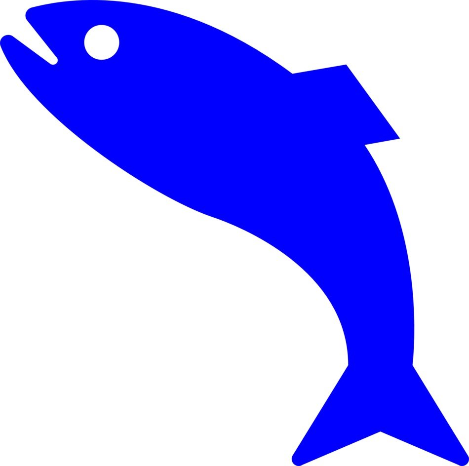 illustration of a blue fish in a jump