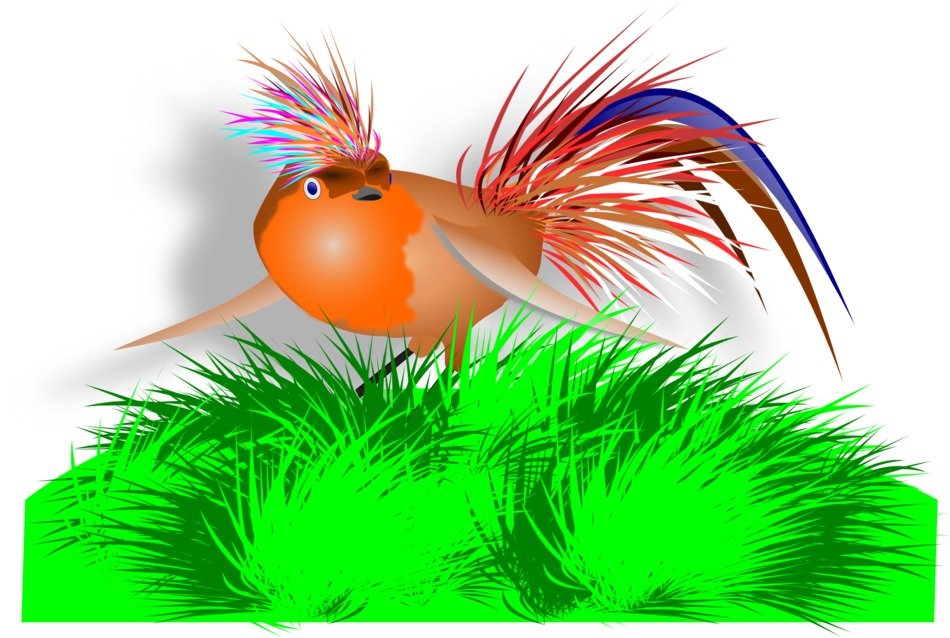 painted bird on the lawn