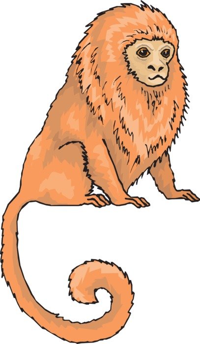 Orange lemur drawing