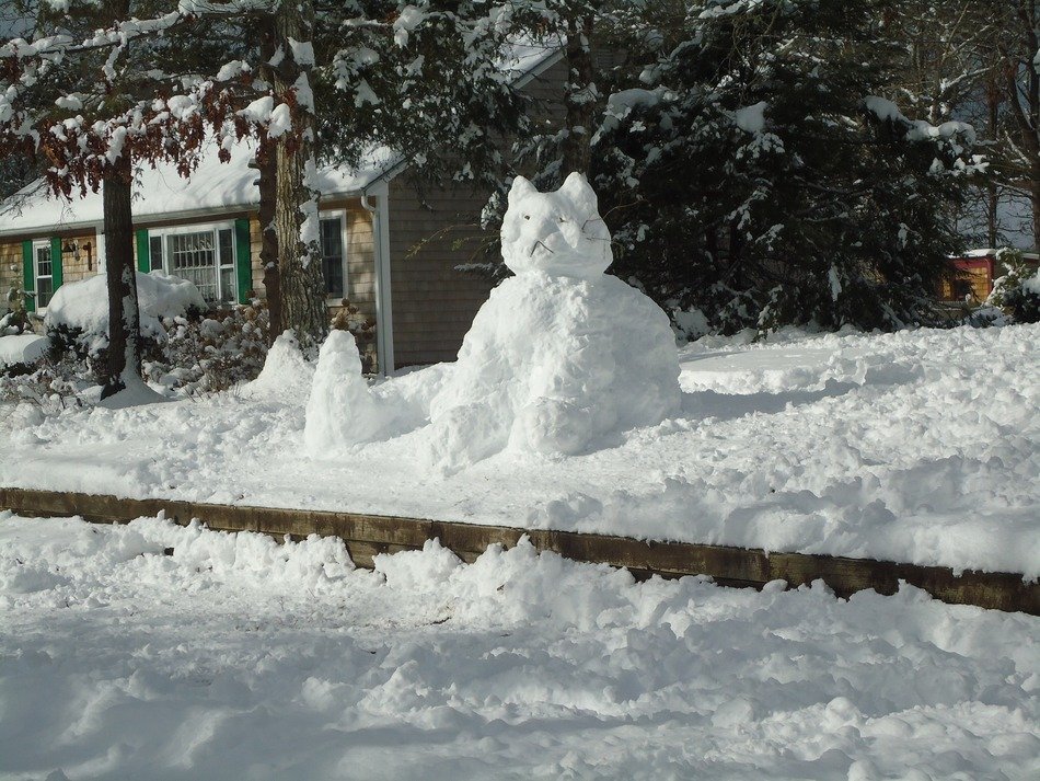 Cute and beautiful Snowman in shape of kitty near the trees