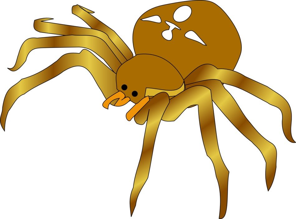 İllustration of brown garden spider