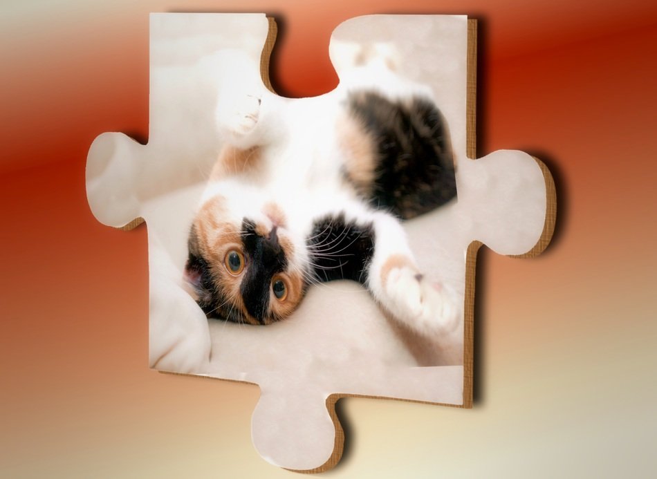 Puzzle with cat