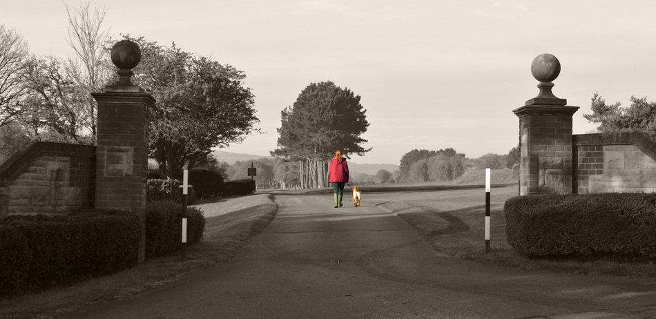 Girl in Red with dog