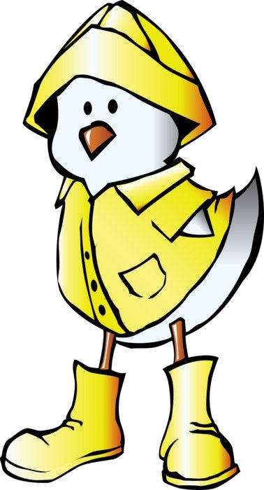 Chick with the yellow raincoat clipart