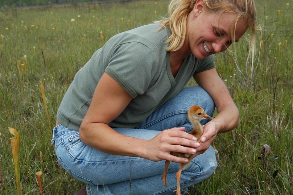 duckling in the hands of a woman