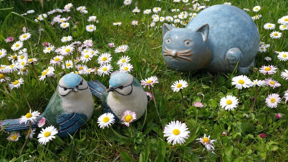Picture of the garden decoration