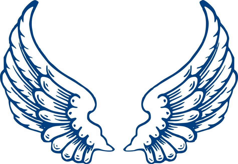 Blue and white drawing of the wings