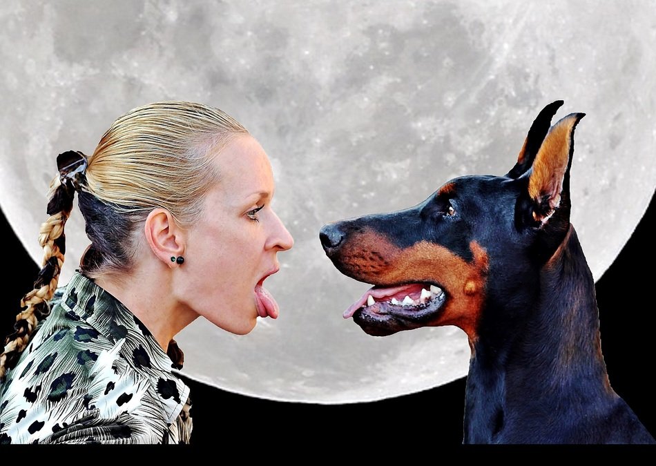 woman and doberman show tongues
