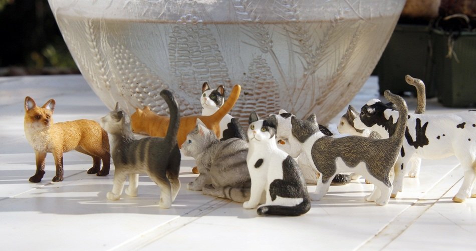 Cat Figurines near bowl