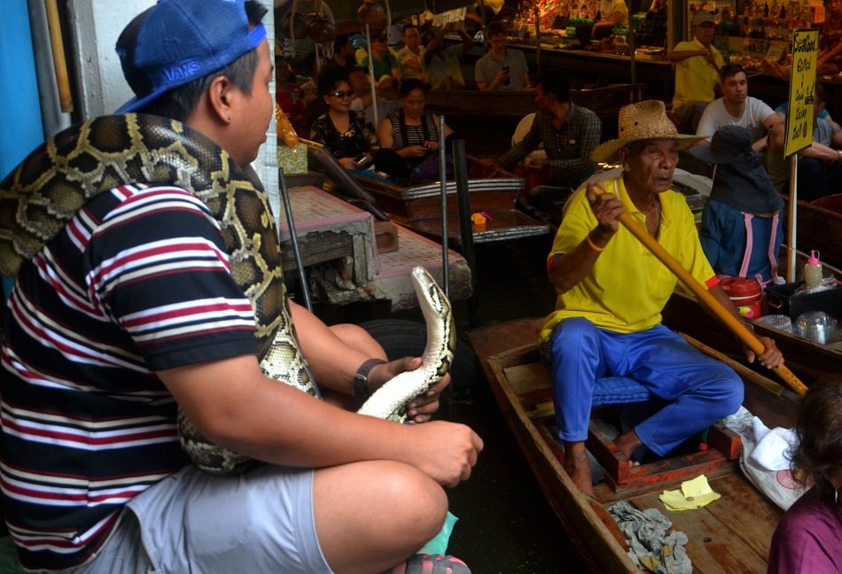 python among people