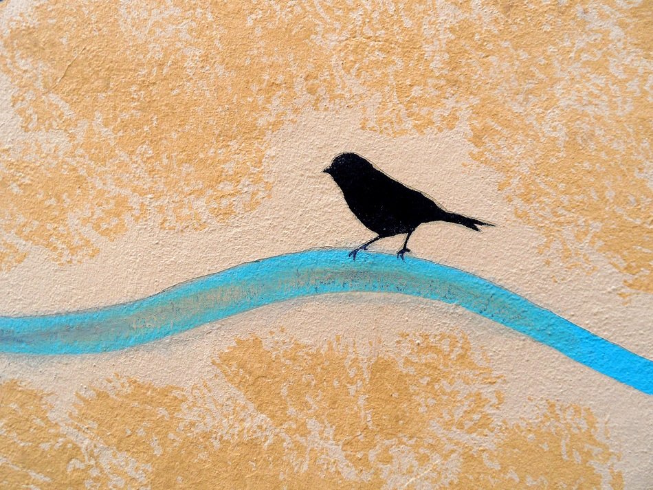 bird drawing on the blue line