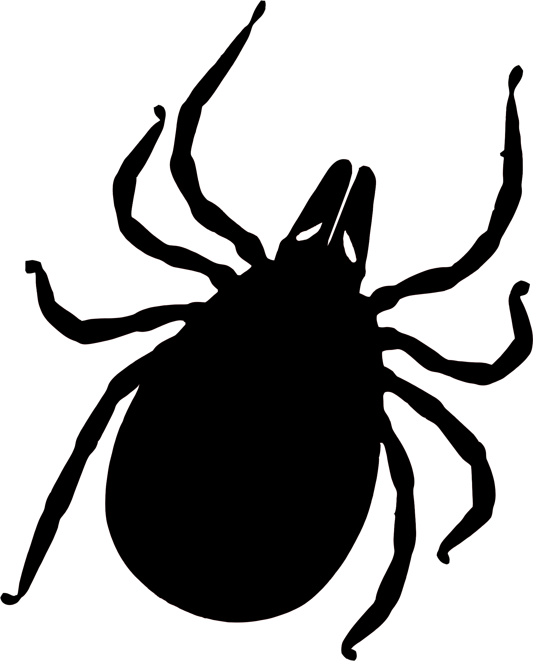3,200+ Tick Bug Illustrations, Royalty-Free Vector Graphics & Clip Art -  iStock | Tick bug icon, Tick bug illustration, Tick bug vector