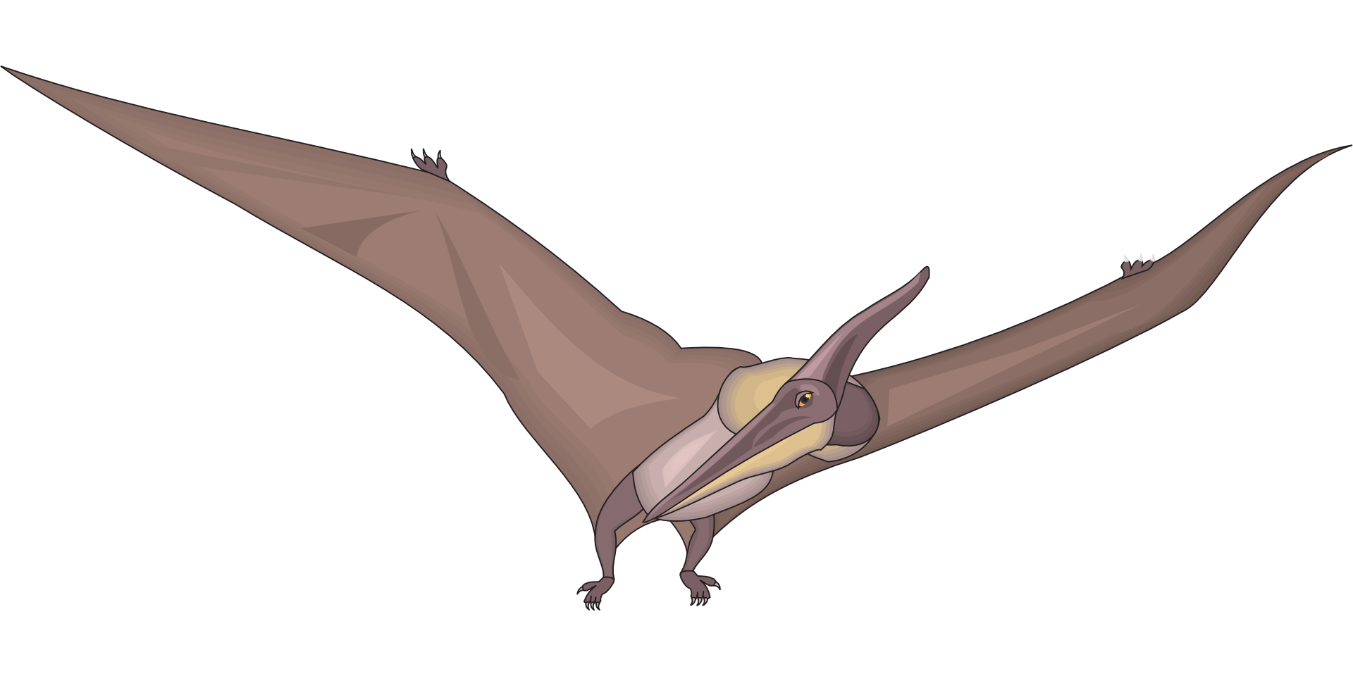 Pterodactyl Porn Gif