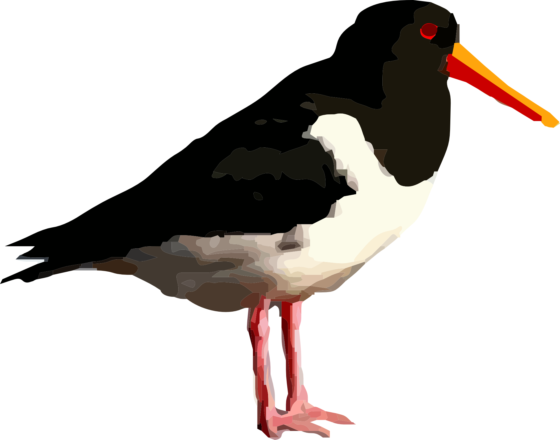 cute-black-and-white-bird-clipart-free-image-download
