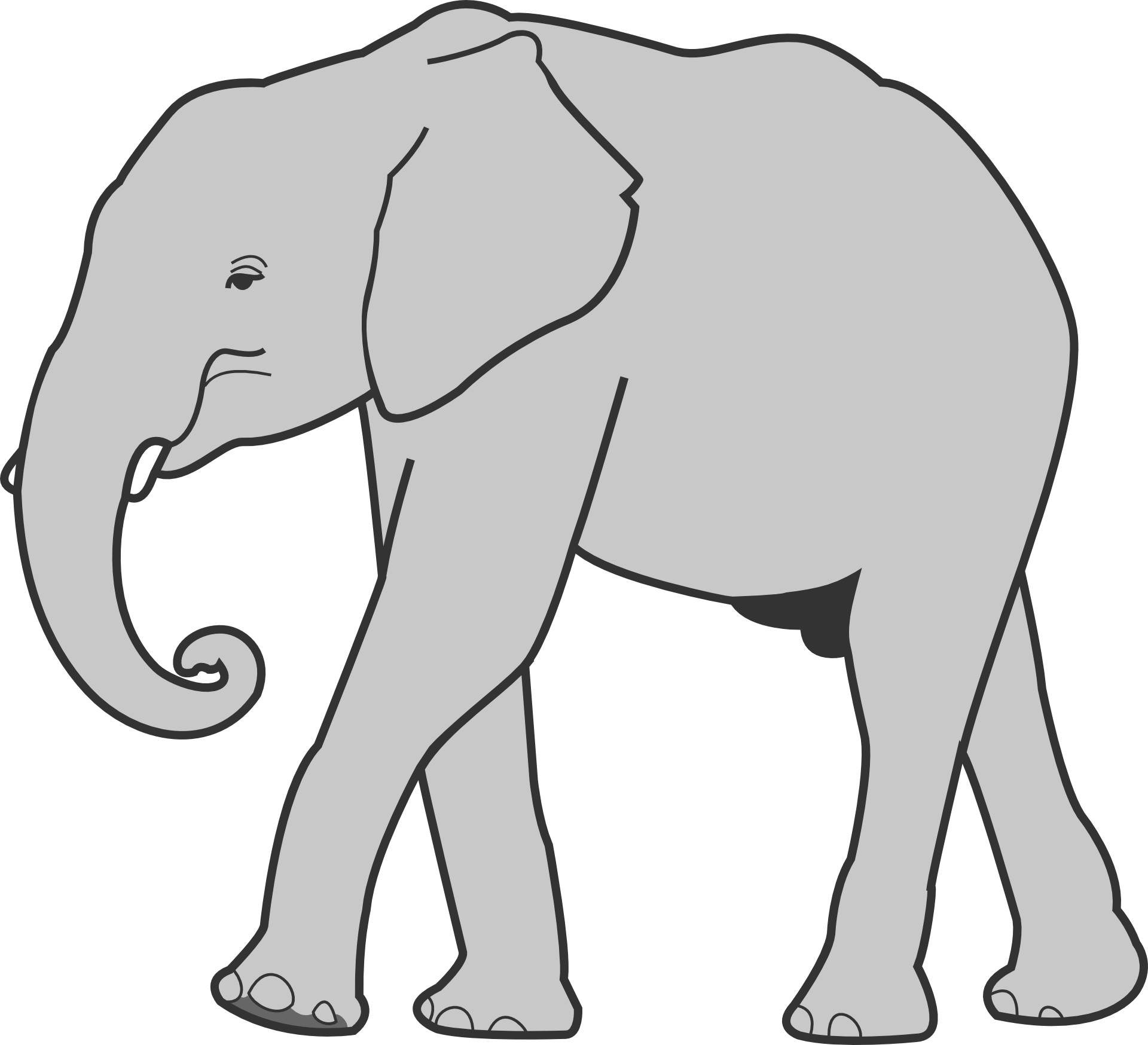 Elephant Walking Drawing Free Image Download