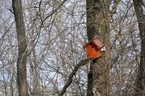red birdhouse on a tree