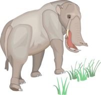 graphic image of an ancient animal
