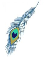 Ä°llustration of Beautiful Peacock Feather