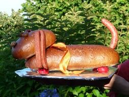 sausage dog