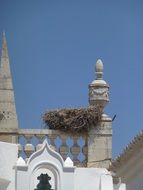 Bird nest in Portugal