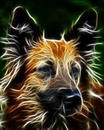 graphic representation of Shepherd