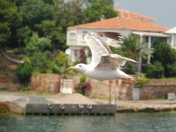 Beautiful landscape with Istanbul