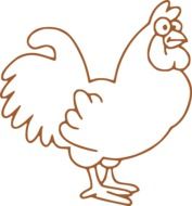 Cock Hen Bird drawing