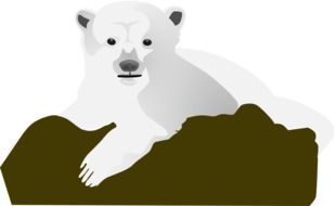 Rock Bear Snow drawing