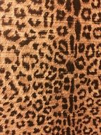 leopard print as design