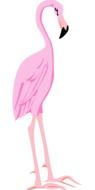 Cartoon flamingo bird, clipart