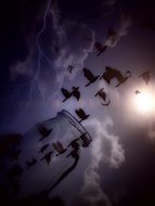Birds are flying from the glass clipart